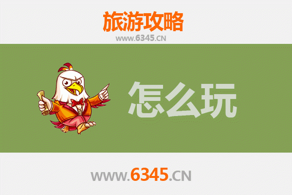 中坜桃园假日游：探索城市文化与自然风光的完美攻略